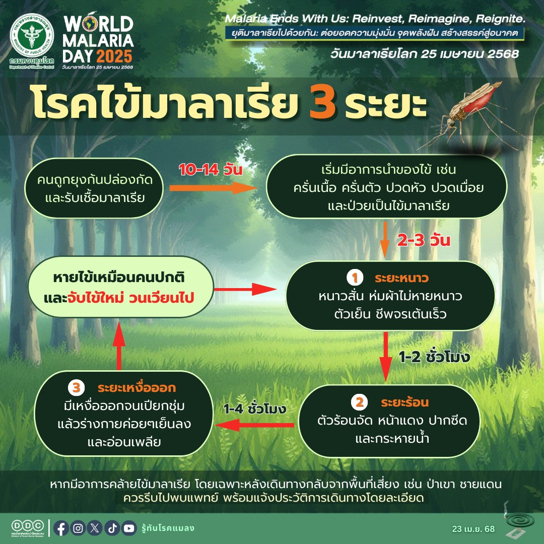 โรคไข้มาลาเรีย-แบ่งออกเป็น-3-ระยะ